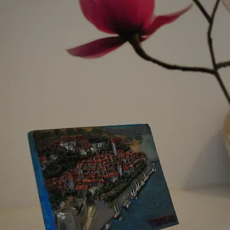 Gazo Apartment